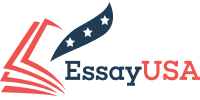 essay writing service