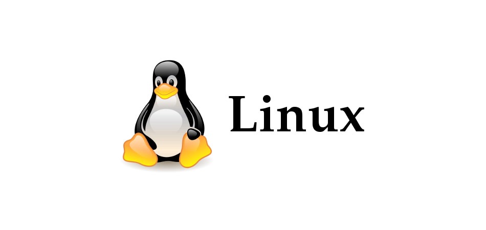 Linux logo on a white background