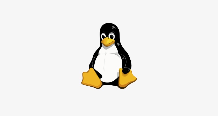 task manager for linux