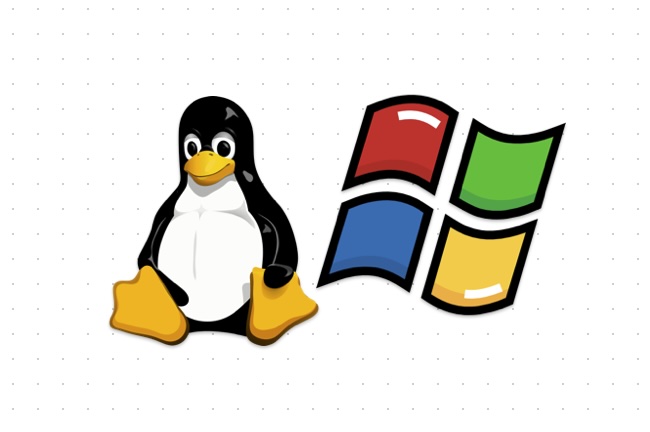 Linux and Windows icon