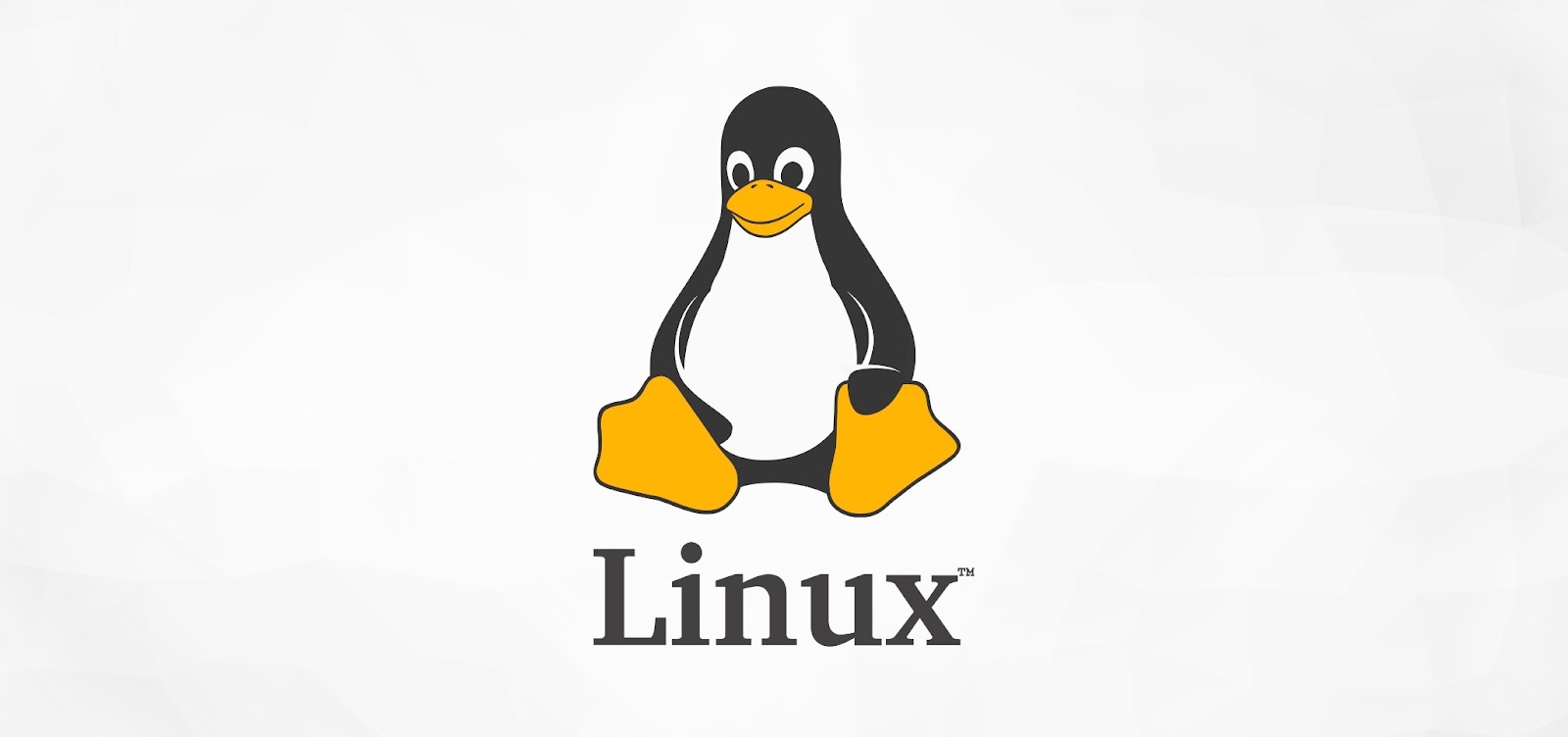 Linux logo and inscription on a white background